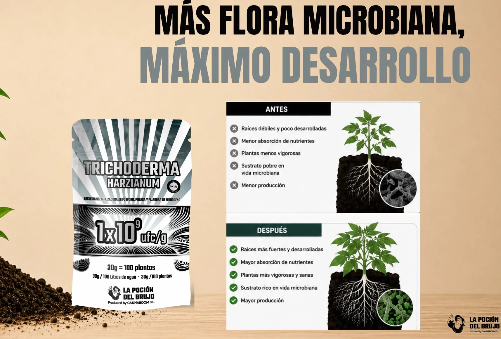 Trichoderma Harzianum = 1x10⁹ ufc/g | Bacterias de la rizosfera 1x10³ ufc/g (100p) - "Cannaboom" | Defensa radicular avanzada | Más vigor y raíces sanas | Microbiología útil de alto rendimiento