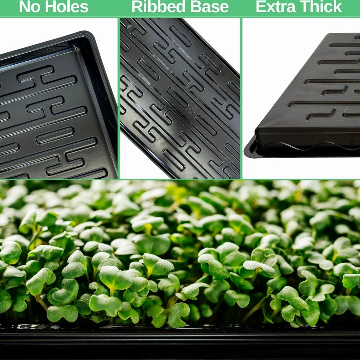 Bandejas de semillero poco profundas 1020 para vivero, fondo poco profundo (altura) de 1.2 pulgadas para germinación de semillas y germinación de plantas, bandejas microverdes sin agujeros