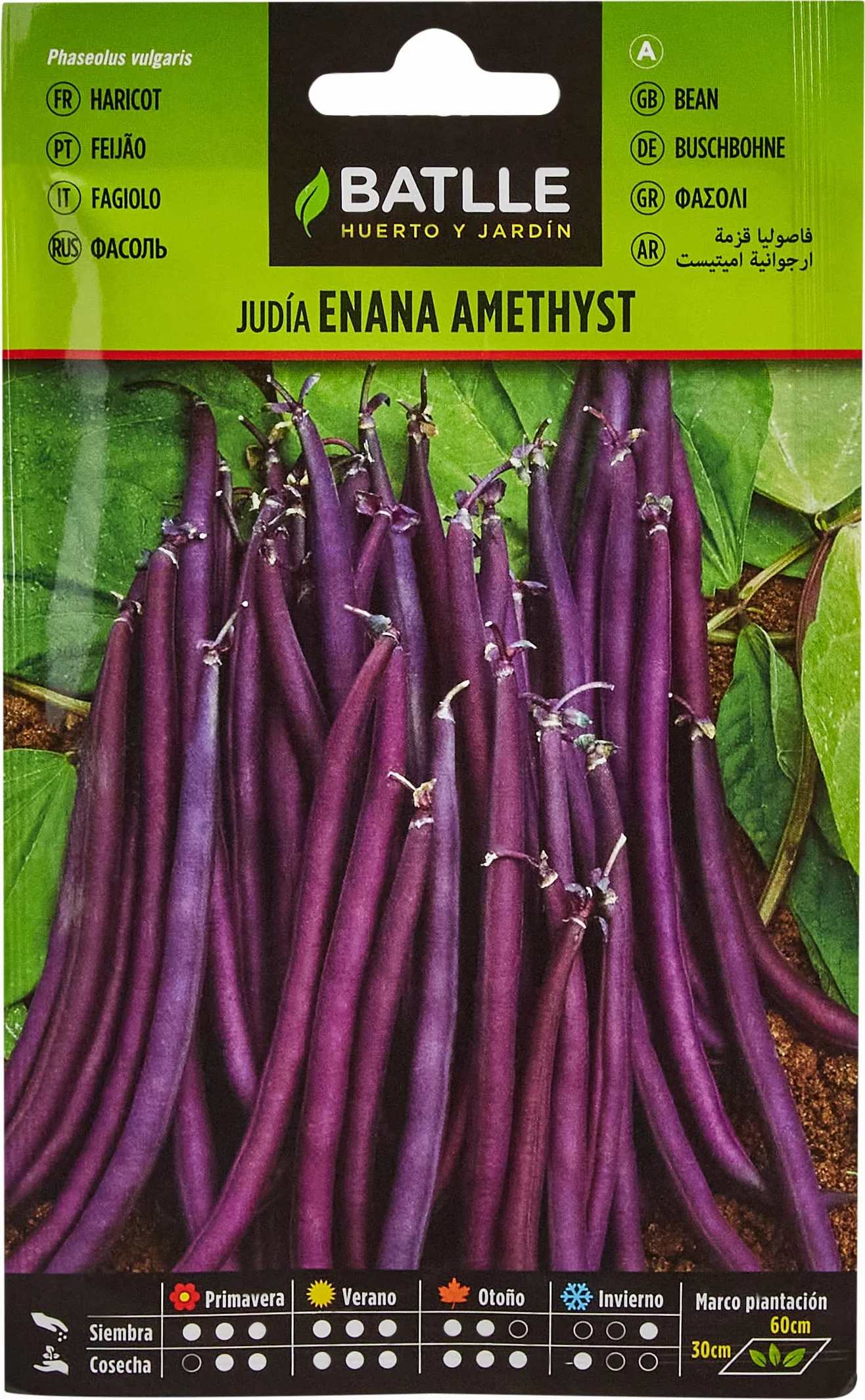 Semillas Batlle Judia Enana Violeta AMETHYST