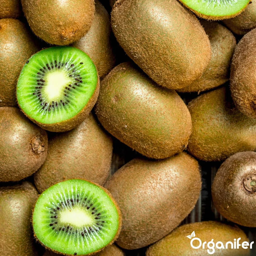 Fertilizante Líquido Orgánico 2x1L Para Kiwi – Favorece Hojas Lujosas Y Frutas Saludables – Organifer