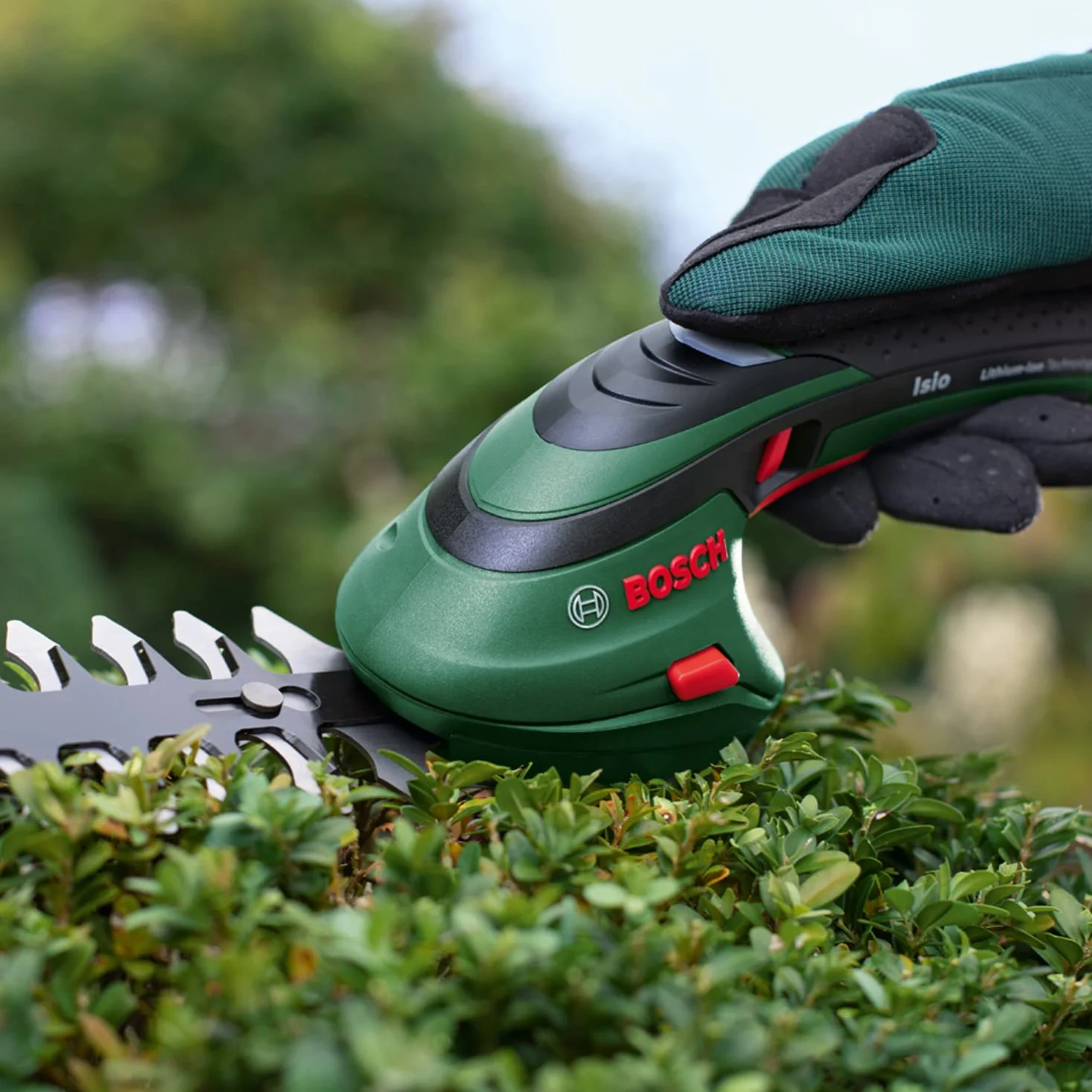 Bosch Set de Tijeras cortacésped a batería Isio | 3,6 V, longitud de cuchilla 12 cm, distancia entre cuchillas 8 mm, guantes de jardinería XL incluidos - Amazon Exclusive