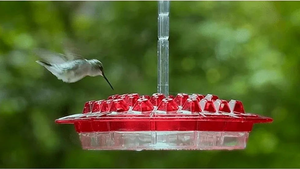 Comedero para colibríes y Foso para Hormigas Incorporado Fácil de Limpiar Patio Jardín Decoración Bebedero Semillas y dispensador de plástico