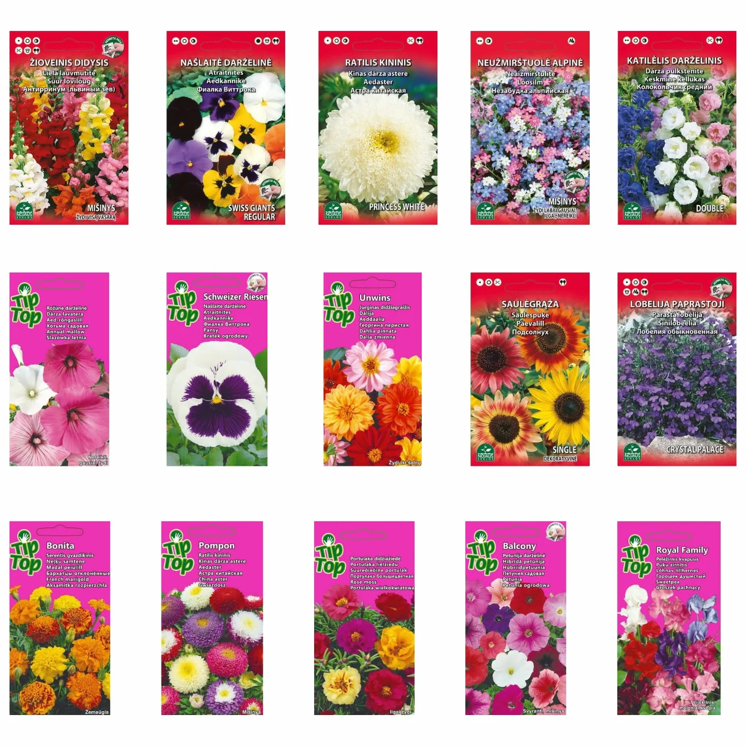Nojus - Juego de semillas de flores - Semillas de flores 15 variedades - Semillas de flores anuales y bienales - 15 paquetes - Semillas de plantas coloridas - Regalo ideal de semillas de flores