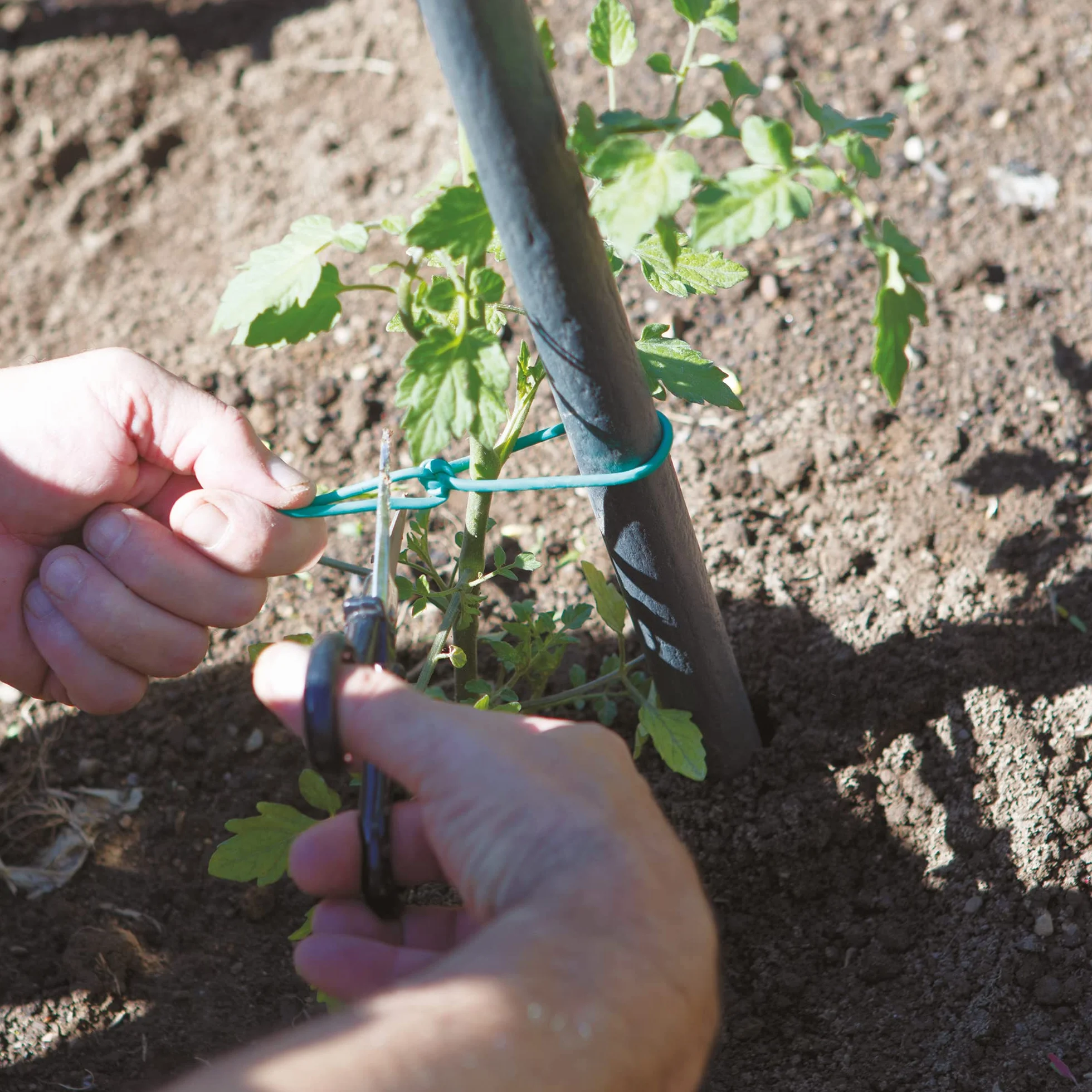 TENAX Tubo Agrícola para Plantas, Verde 1000 g, Diámetro 2 mm, Longitud Aprox 240 m, Tubo Agrícola de PVC, Ataduras para Plantas