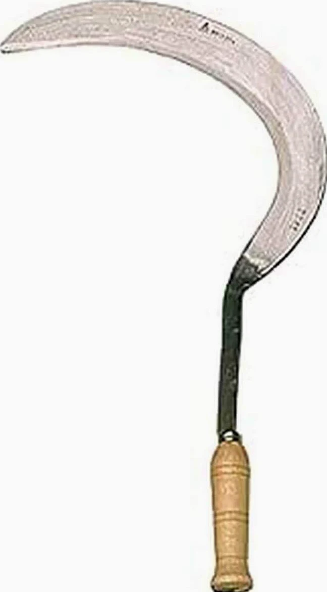 Bellota 2561 - Hoz