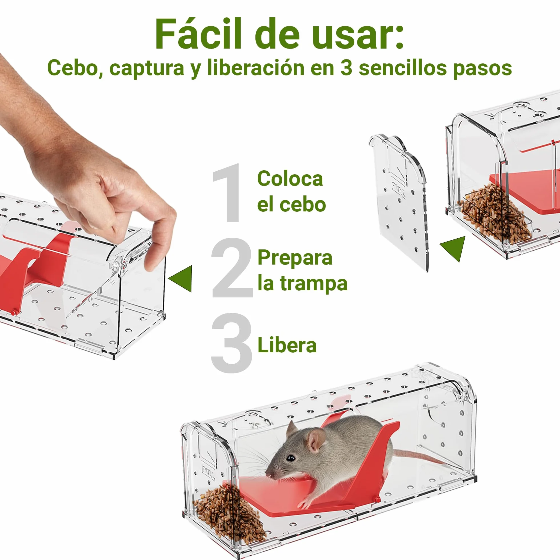 Roshield 4 X Trampas humanas para Ratones en Interiores y Exteriores, Trampa de plagas para atrapar Vivos. Amigable con Mascotas y niños. Trampa Reutilizable para roedores y Ratones.