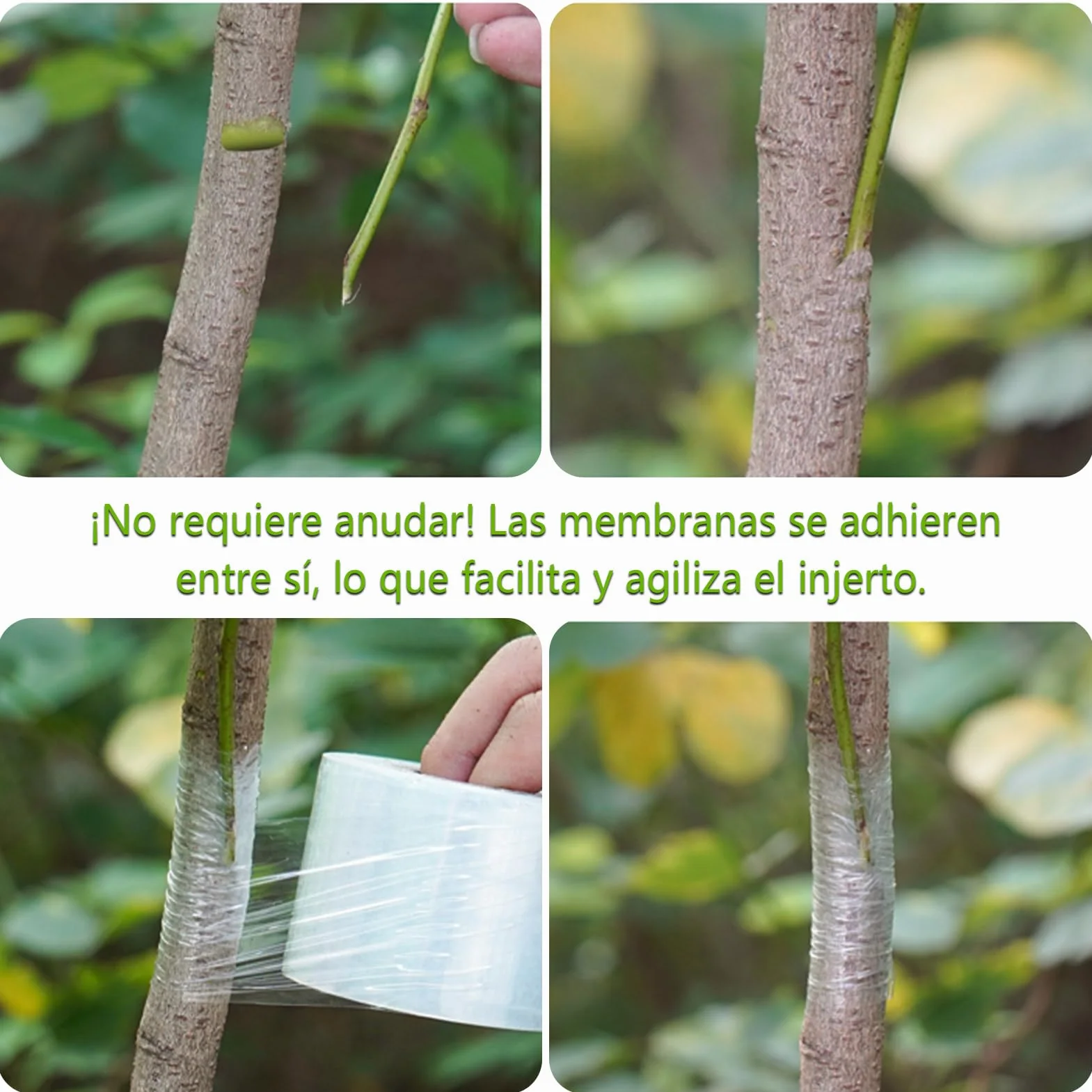 3 Rollos de Cinta de Injerto de Transparente Estirable, Autoadhesiva para Jardinería Película de Injerto, Ideal para Injertar Árboles Frutales, Flores y Uso en Viveros, 100 m