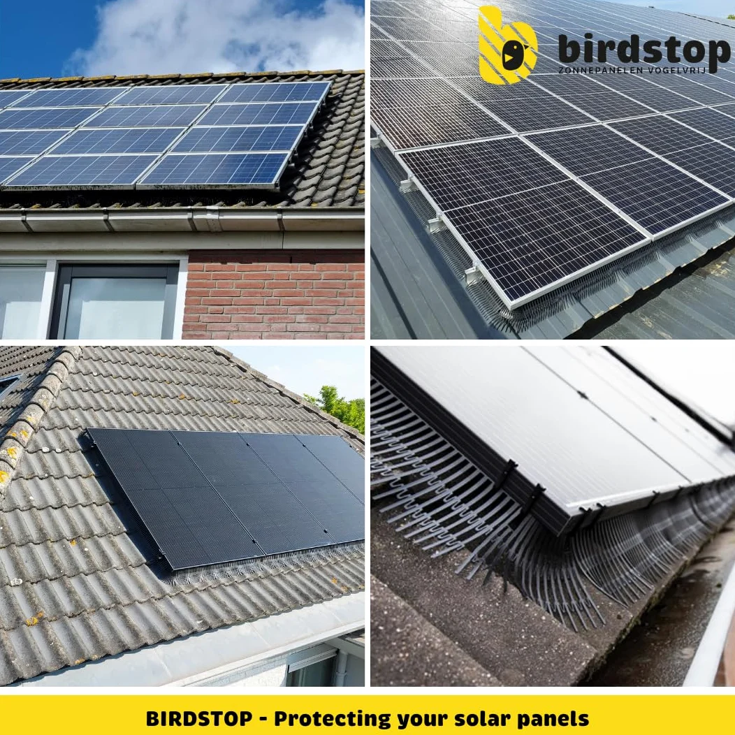 Juego de protección contra pájaros fotovoltaico, sistema solar antipalomas, 10 metros, 12 cm de altura, 4 piezas de esquina y fijación, ahuyentador de palomas fotovoltaico