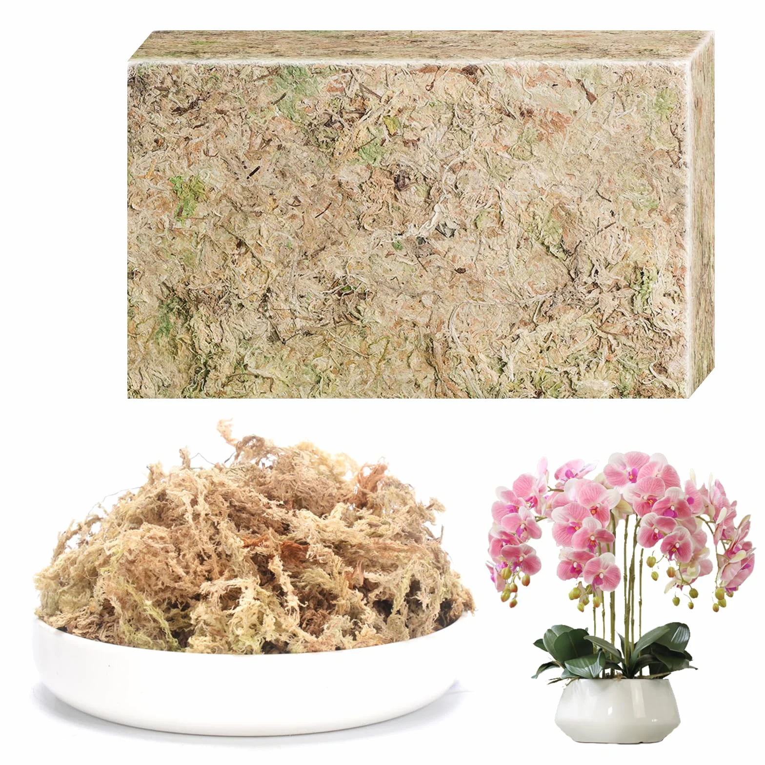 CATELL 190 g de musgo Sphagnum para plantas, terrario, tortuga y plantas de interior