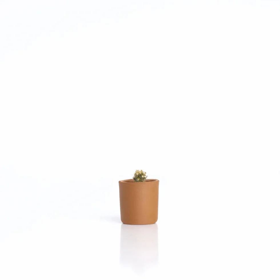 Baby Cactus – Kit de Cultivo de Cactus con Maceta de Barro Artesanal | Fácil de Cuidar | Regalo Original y Decorativo | Resetea