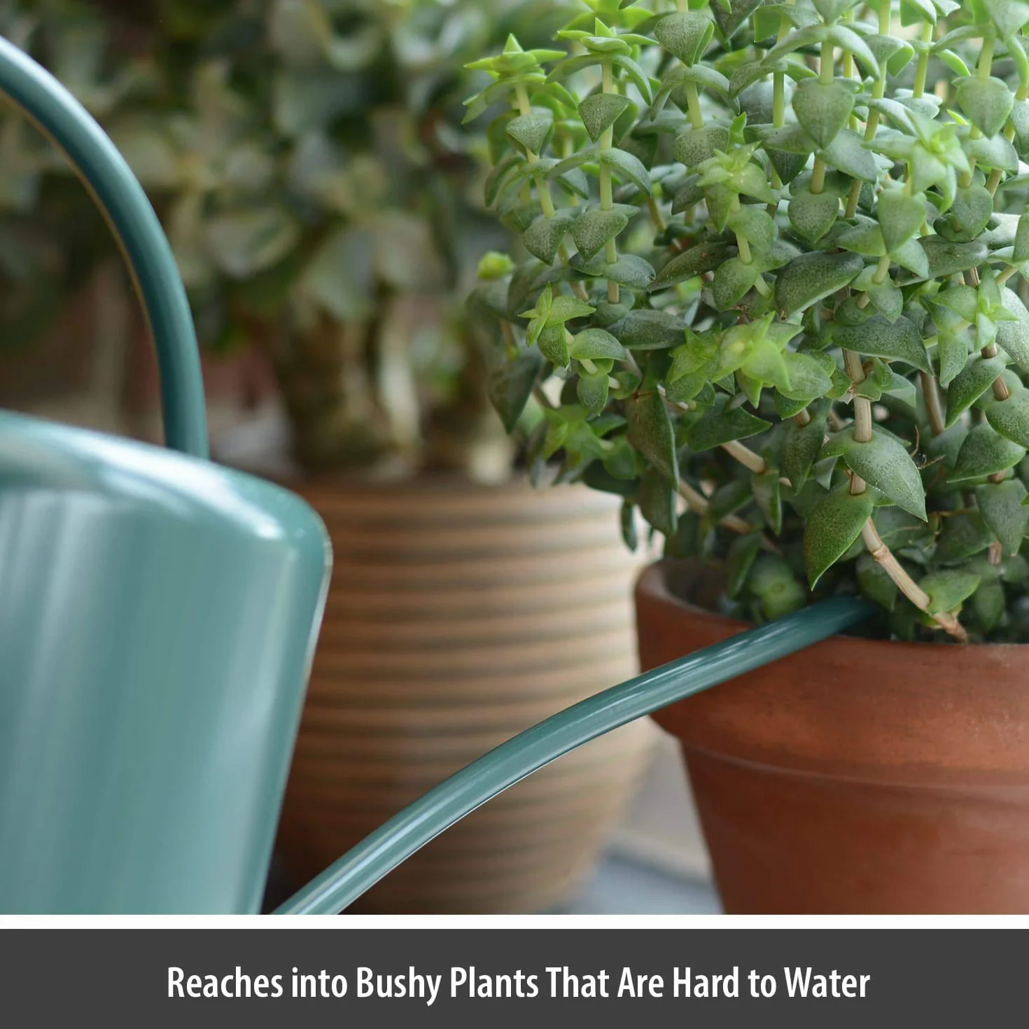 CKB LTD® - Regadera Interior de Acero galvanizado con Recubrimiento en Polvo para Plantas de Interior, diseño contemporáneo de Metal con Pico Estrecho y Mango Alto, 1,4 L Verde Oscuro