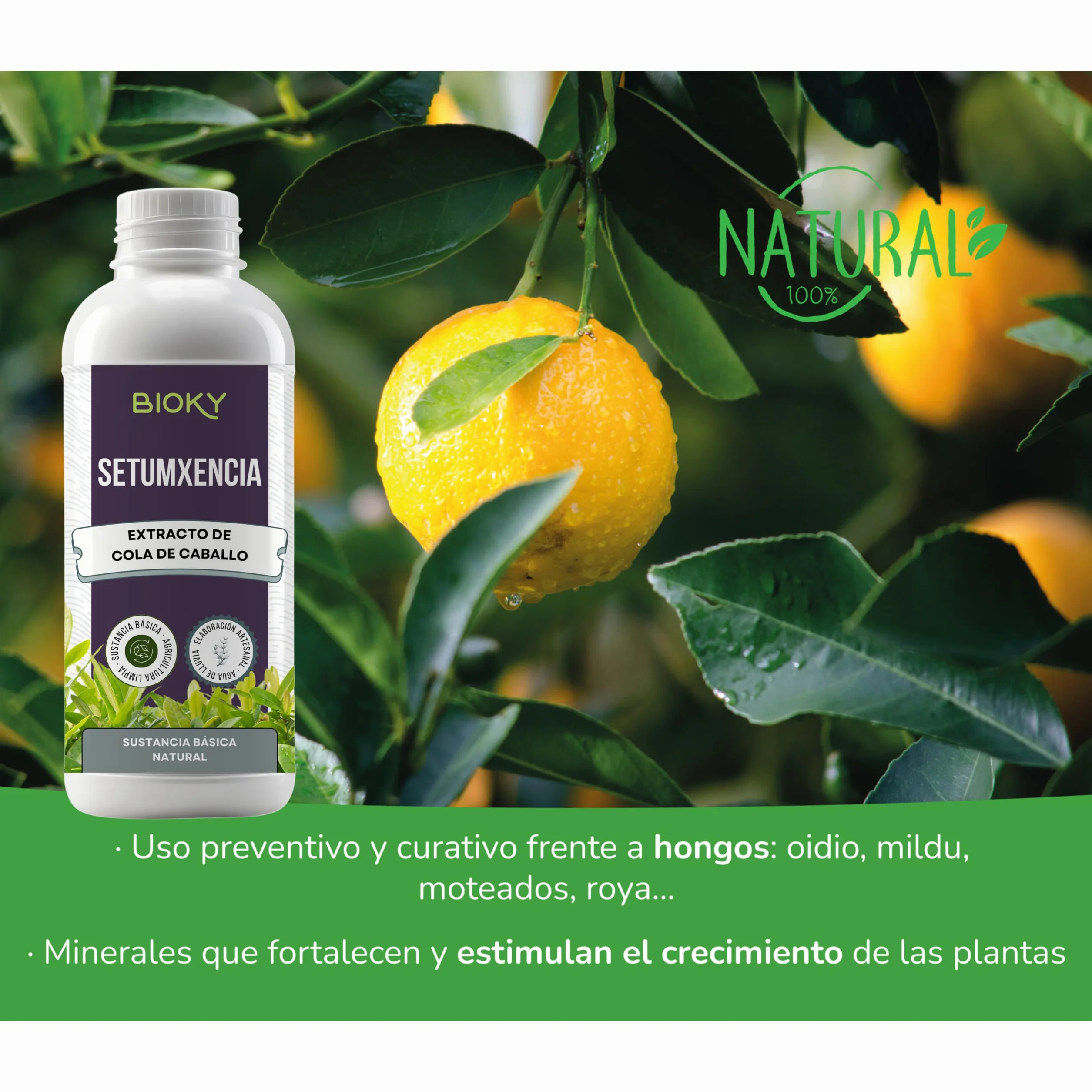 Purín de Ortiga 1L + Extracto de Cola de Caballo para Plantas 1L Aporta Hierro y Nutrientes Esenciales - Mejora Defensas Naturales de Plantas - Producido por Decocción y Fermentación