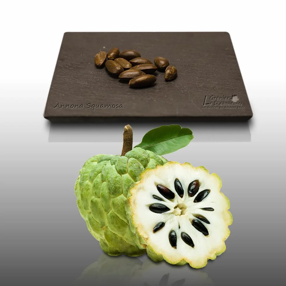 10 graines à semer - Le Grenier d'Abondance - ATTIER - Annona Squamosa