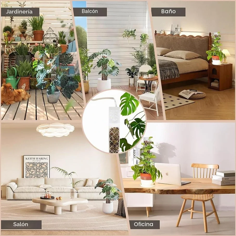 Moss Pole,6 Piezas Tutores para Plantas Trepadoras,Tutor Monstera,6 Tutor Musgo Plastique, 4 Alfileres, 4 Botellas de Goteo, 4 Diafragmas de Reproducción, 100 Bridas,para Hiedra, Monstera, Pothos