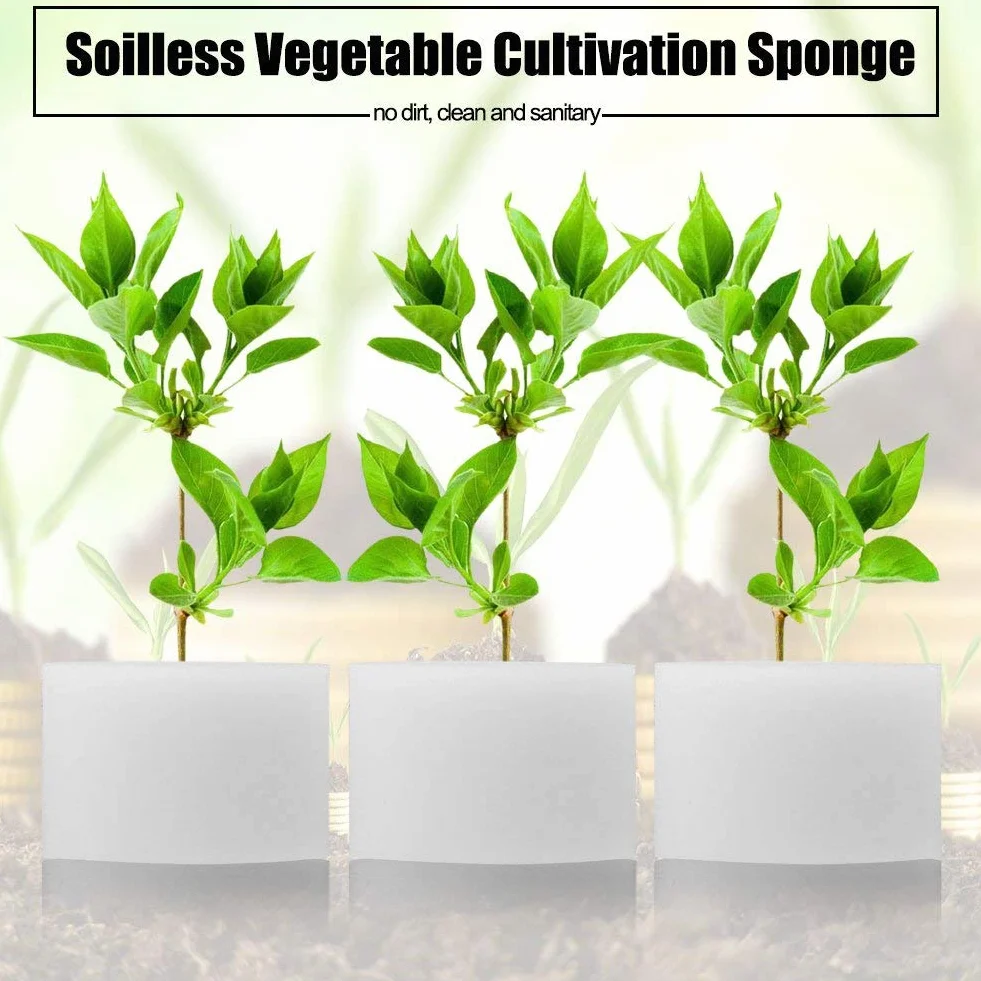 Viagasafamido 50 Unidades Esponjas Hidropónicas para Cultivo Sin Suelo - Esponjas para Plantones de Vegetales, Jardinería Y Germinación (44 X 30 Mm)