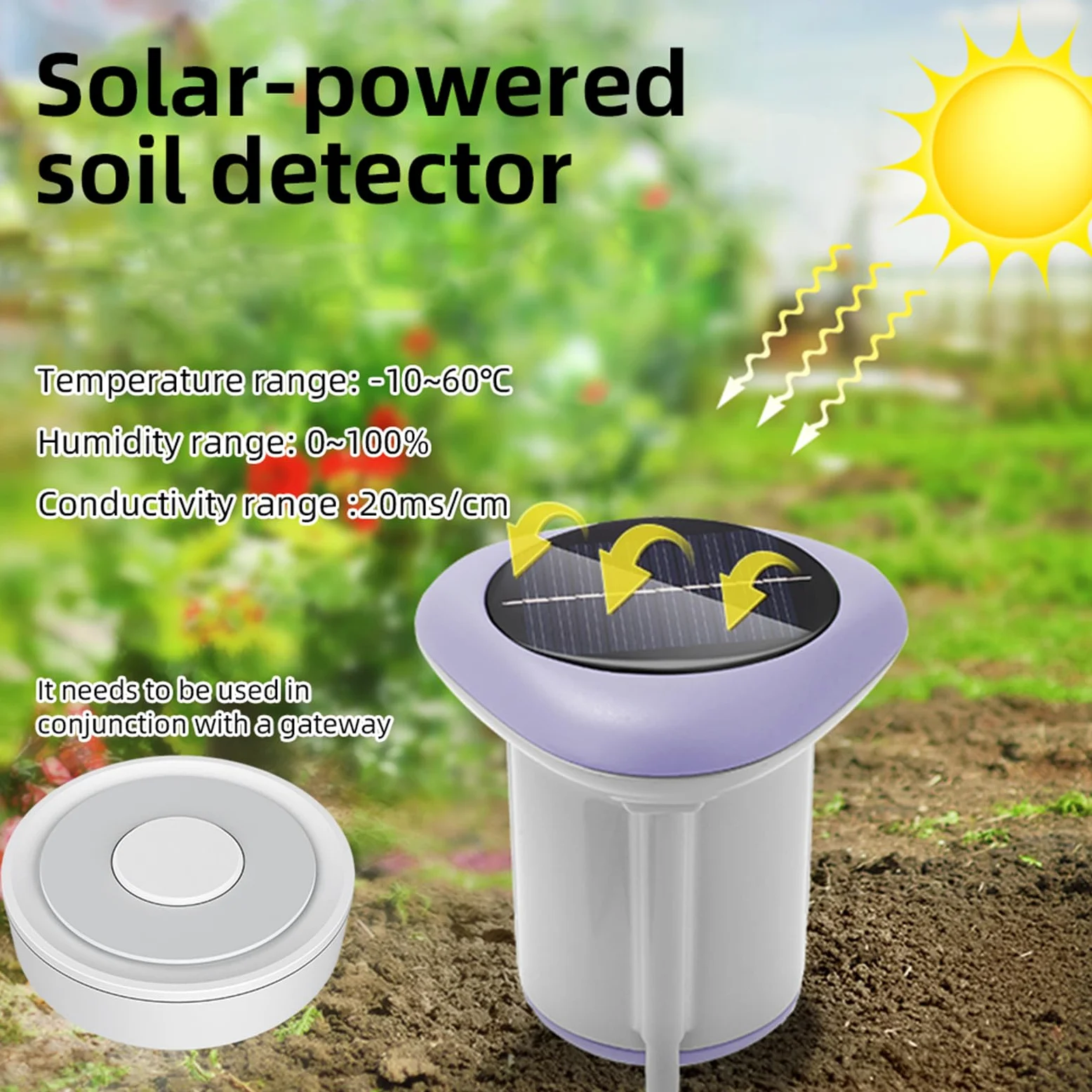 Monitor solar de suelo para plantas, sensores de temperatura, datos históricos, herramienta de jardinería para interiores y exteriores