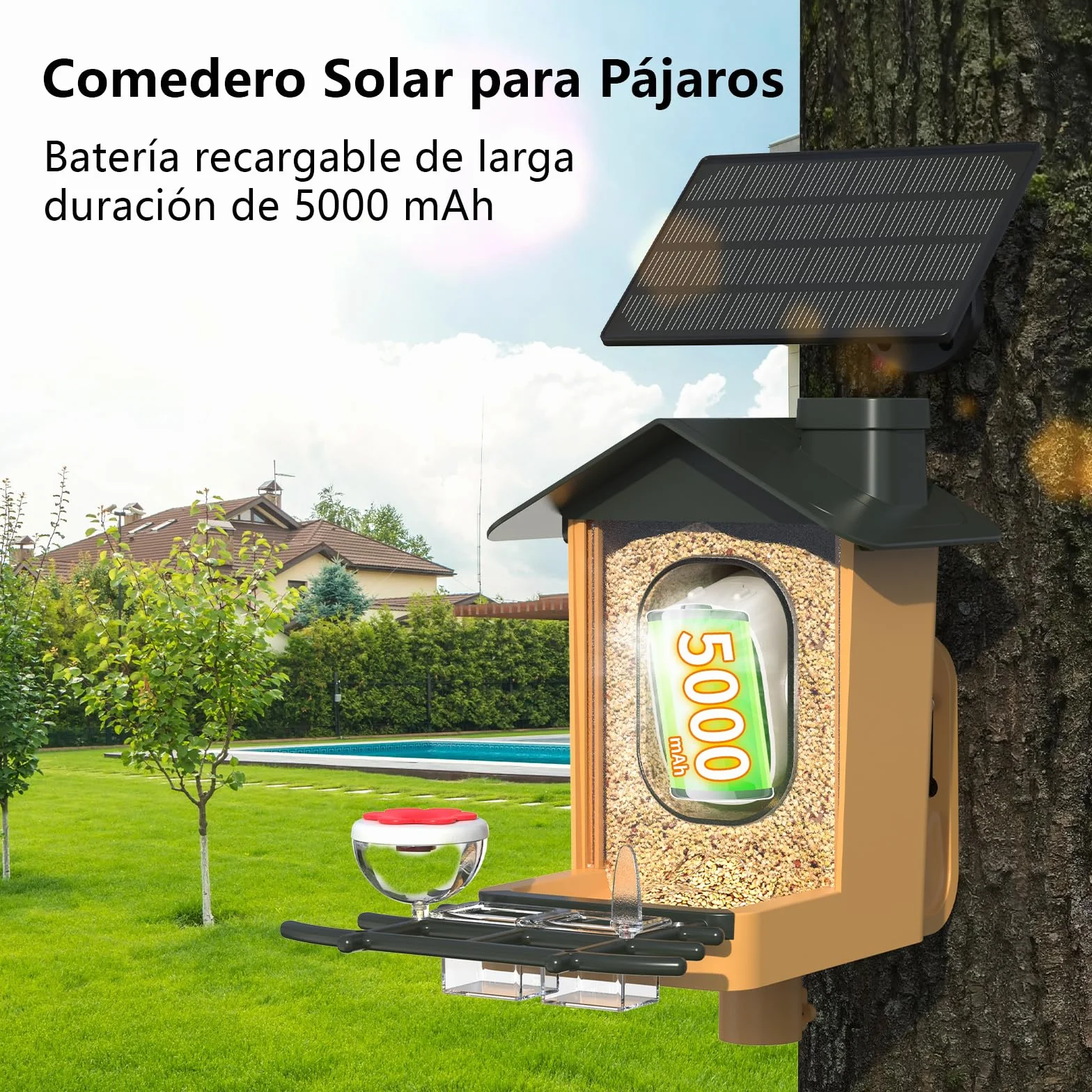 Comedero Pajaros con Cámara 2K HD AI identifica 10000+ Pájaros Solar Comedero Pajaros Exterior Notificación Instantánea Impermeable IP65 Almacenamiento en Nube Captura Automática Imagen/Videos