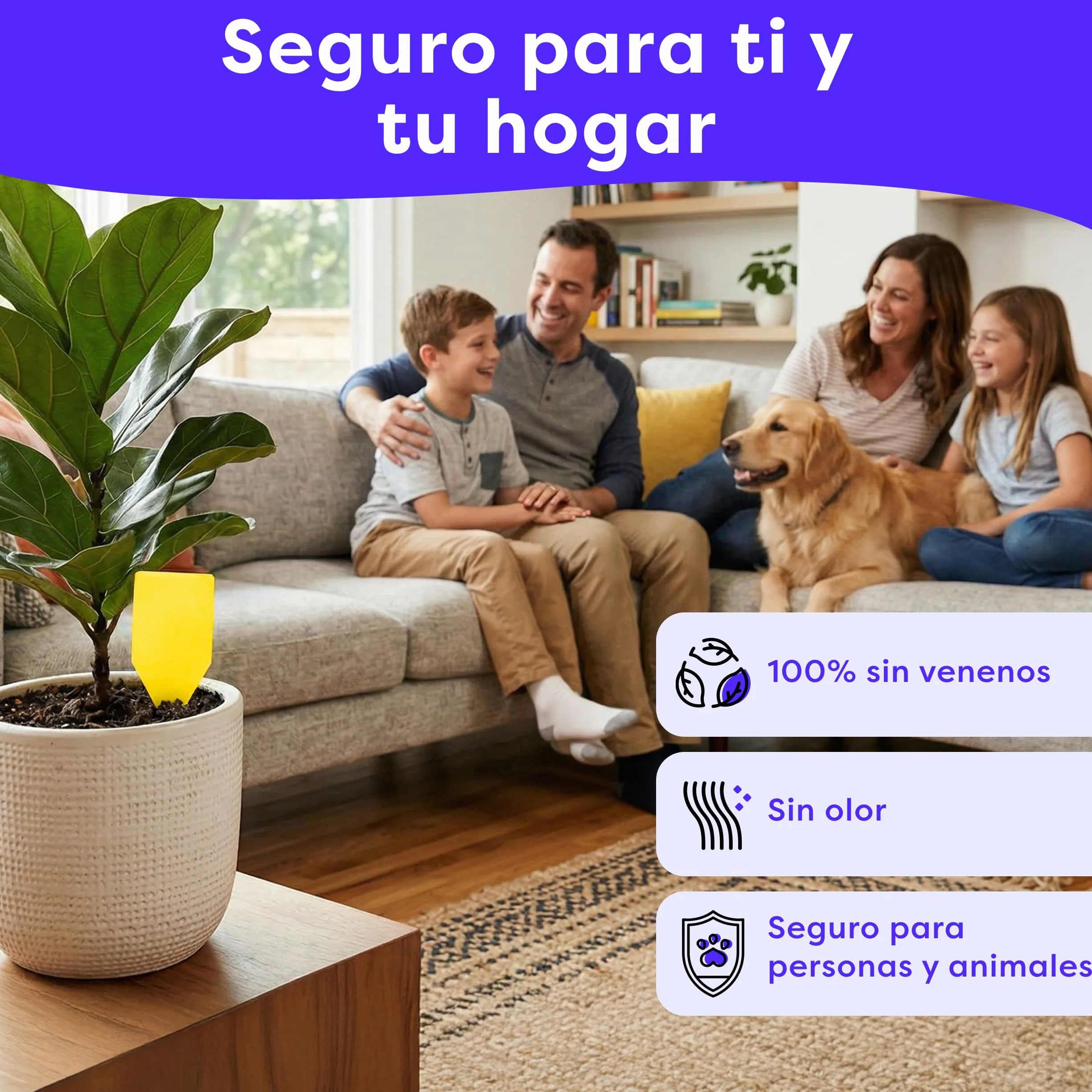 Wolkenfeld Trampa Moscas Plantas 60 Piezas Pegatinas – Trampas Amarillas para Insectos, Atrapa Mosquitos Adhesivo Doble Cara, Sin Insecticida – Interior, Macetas y Invernadero – Made in Germany