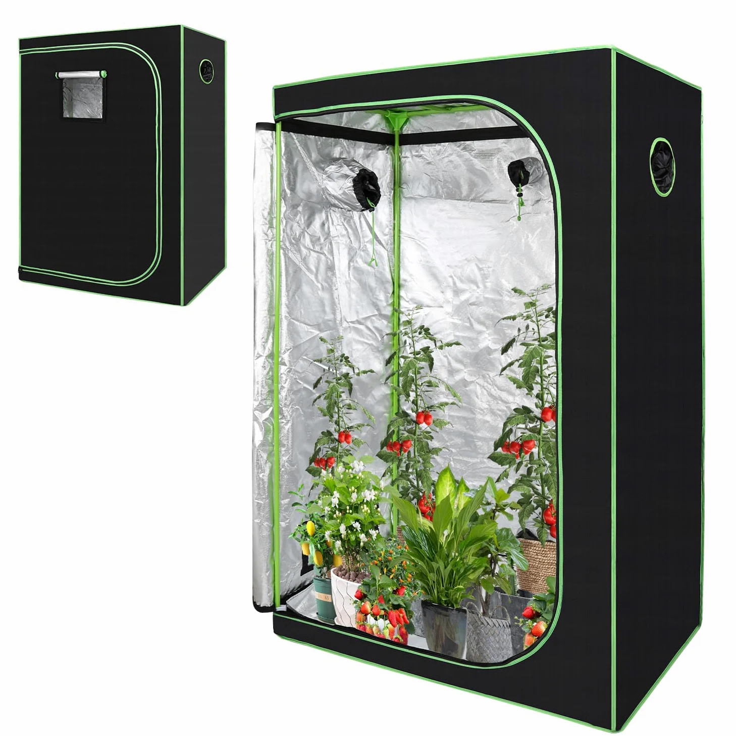 Daromigo Tienda de campaña para cultivo de plantas de color negro y verde, 120 x 60 x 180 cm, invernadero interior para plantas, carpas de cultivo con ventilación y reflectante Mylar Homegrowing
