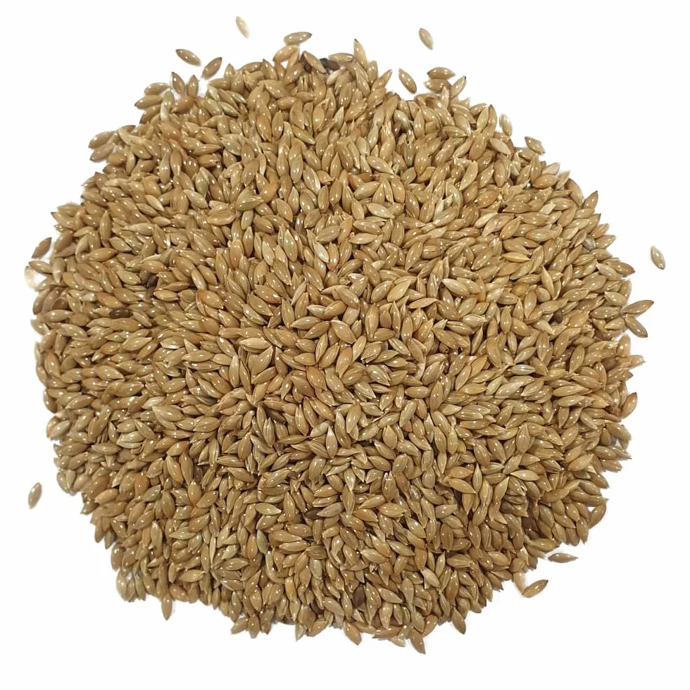 Alpiste Canadiense para pájaros. Apta para verderones, jilgueros, Canarios, pinzones, diamentes, periquitos y Otras Aves Silvestres. Sunseed 2.5 Kg