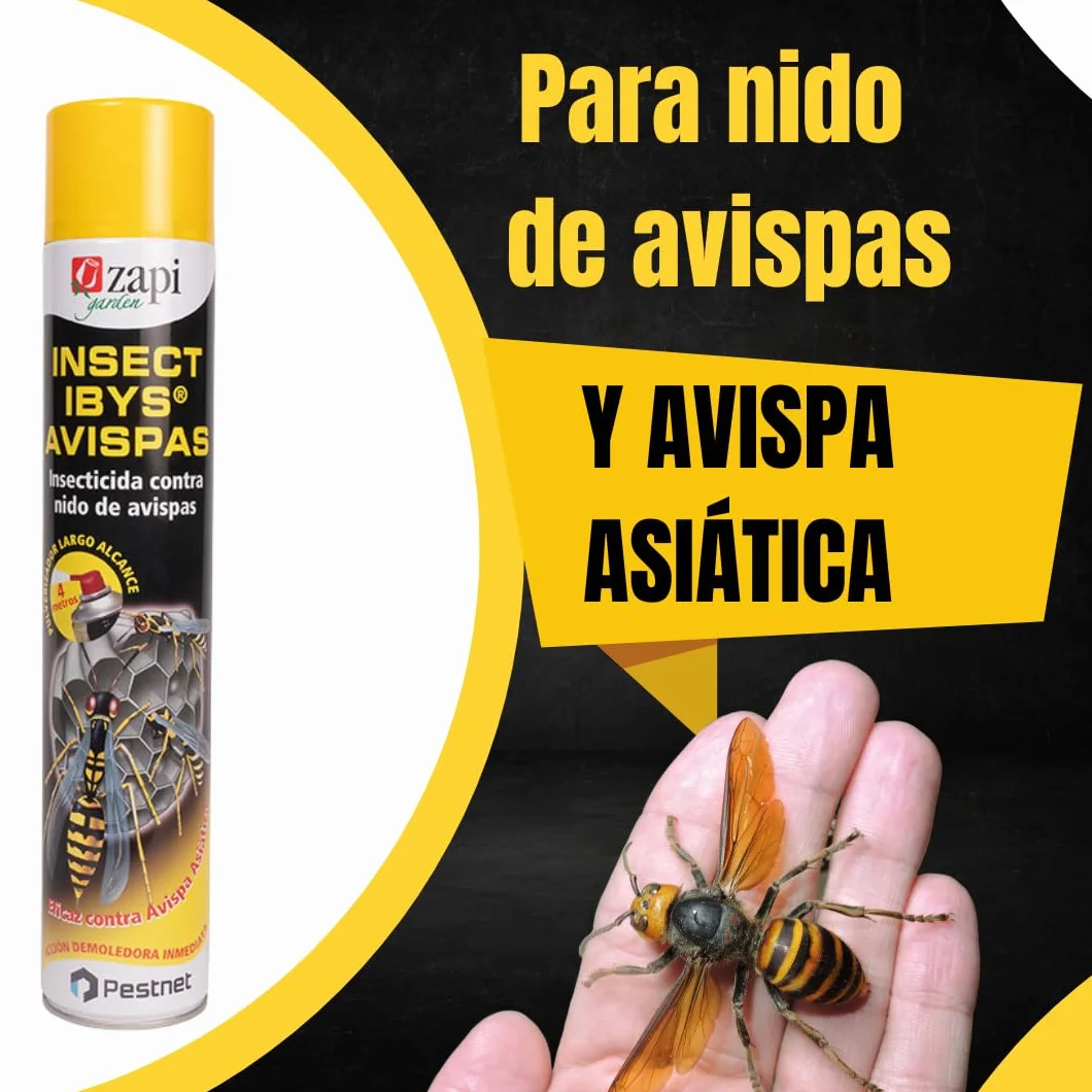 Spray Insecticida avispas 2x750ml aerosol contra nido de avispa I insecticida larga distancia para avispas avispones avispa asiática velutinas