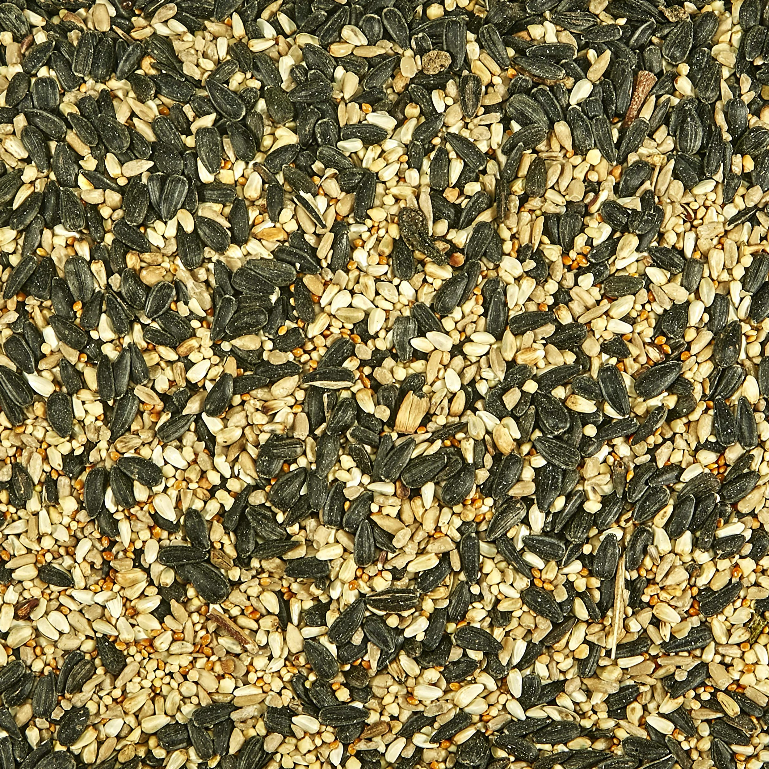 Kaytee sur regional mezcla Wild Bird Food