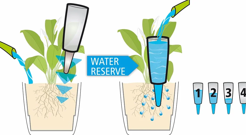 Scheurich Dispensador de Agua Copa XL, 1 x Transparente, cantidad de llenado de 500 ml, Bola de riego pequeña con pie de Arcilla, dispensador de Agua para Plantas y Flores, Tallo de Terracota