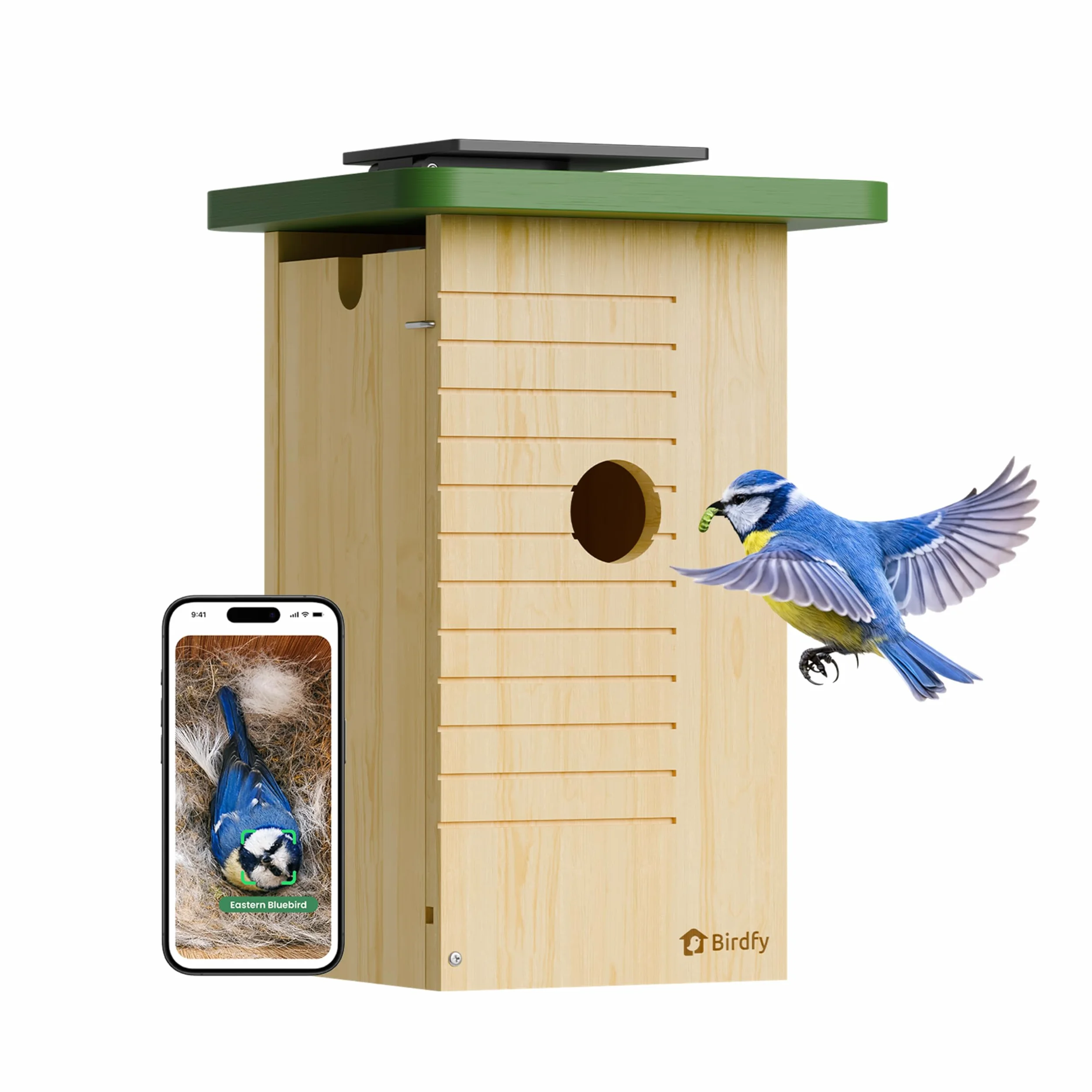 Birdfy Pajarera con cámara, nido con cámara, cámara de 2 millones de píxeles, para exteriores, observación en tiempo real de la construcción de nidos y cría de aves, detección de comportamiento de