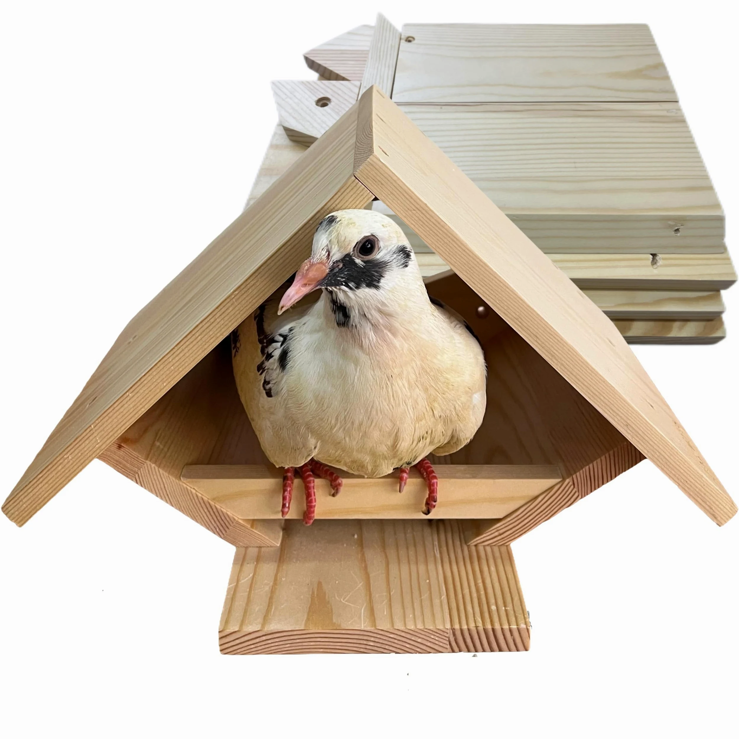 Paloma para pájaros, paloma de luto, caja de anidación para palomas, plataforma de nido abierto | Para palomas de luto, palomas, diseño abierto, para jardín trasero, pájaros pequeños y medianos, no grandes