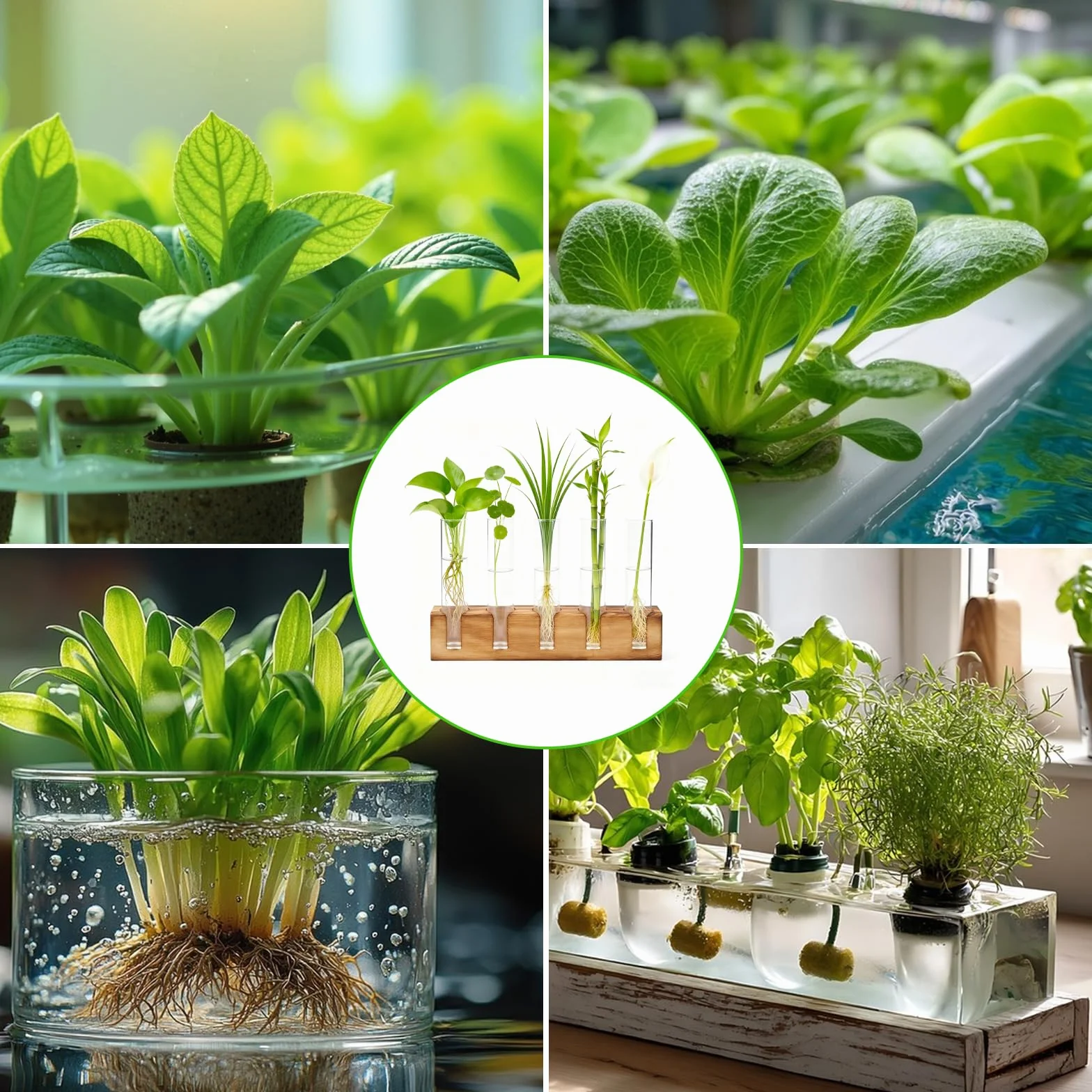 Jarrón Hidropónic Estación de Propagación Hidropónica con Soporte Madera,Estación de Propagación de Plantas con Cepillo De Limpieza para Plantas Hidropónicas, Esquejes, Oficina