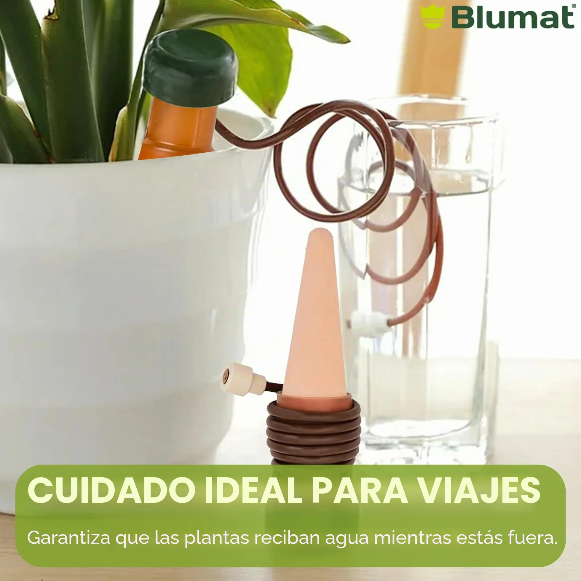 BLUMAT 10520 Junior Automático Planta Riego, XL, 2 Unidades