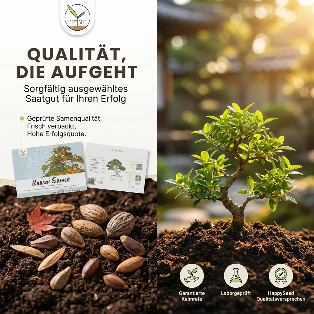 Semillas de bonsái excepcionales con una alta tasa de germinación - Set de semillas de plantas para tu propio árbol de bonsái (set de 5 piezas, guía electrónica GRATUITA)