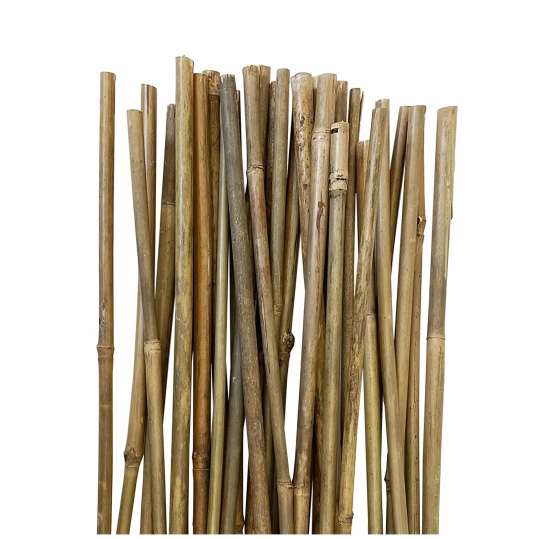 Acomoda Textil - Tutores de Bambú para Agricultura y Jardinería - Pack 30 Varillas Estables y Robustas (120 cm, 8/11 mm)