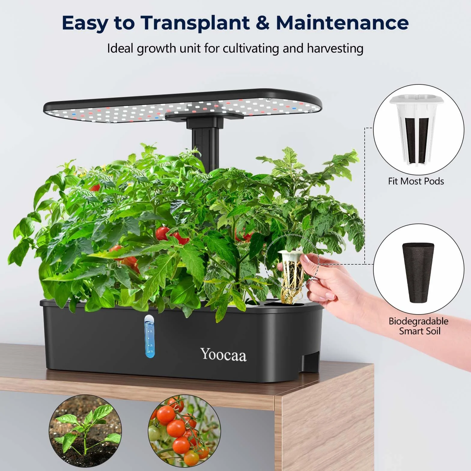 Sistema de Cultivo hidropónico de 12 cápsulas con luz LED de Crecimiento y Temporizador automático, Kit de jardín de Hierbas Ajustable para Interiores y Cocina (19.4 Pulgadas de Altura máxima)