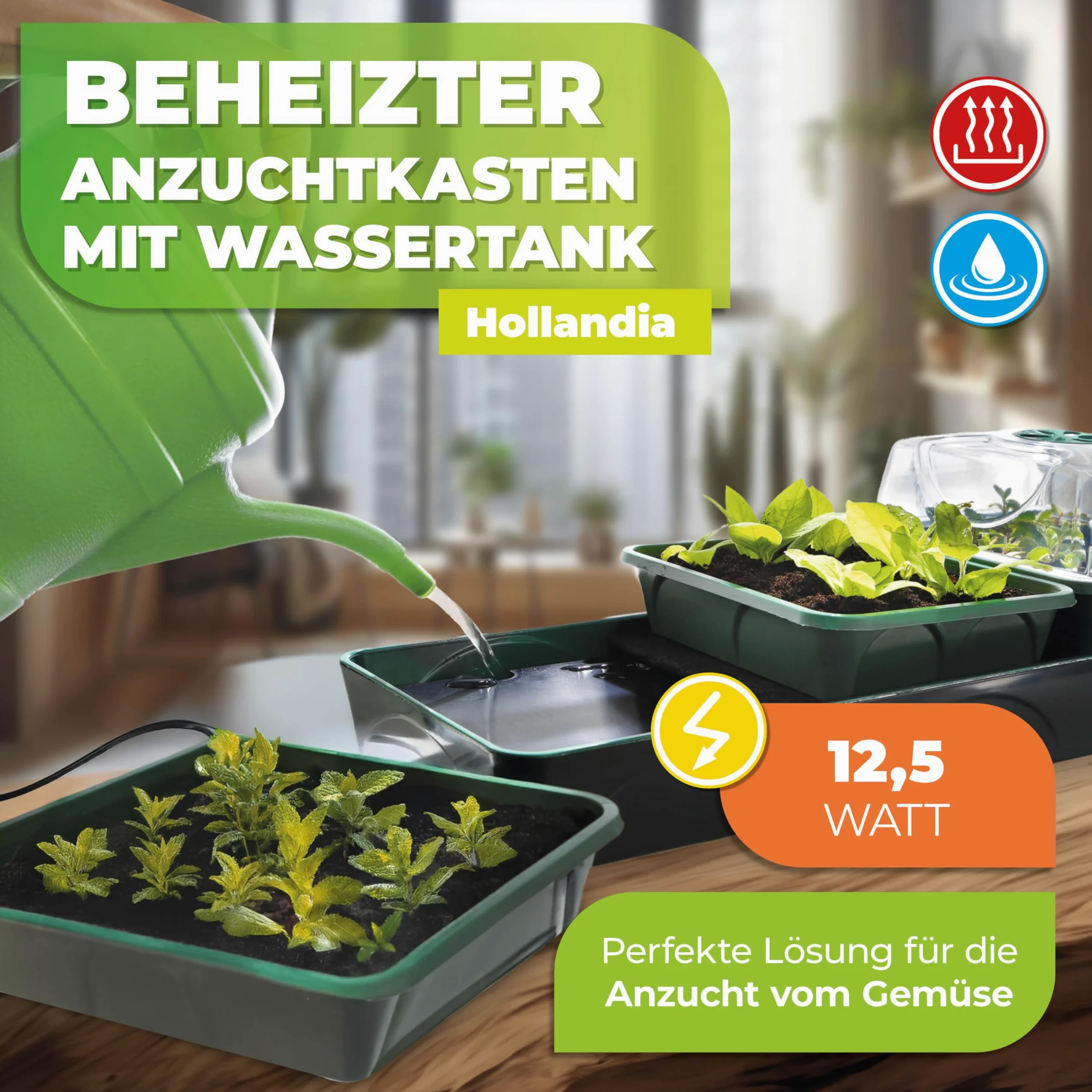 Bio Green Productos de Cultivo estación de Cultivo Hollandia, Multicolor