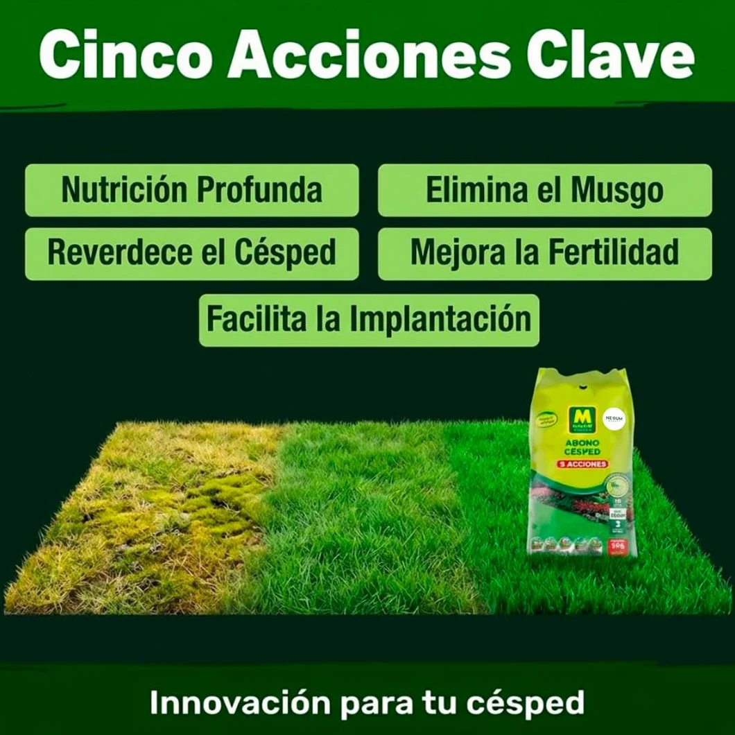 Abono Césped Granulado con 5 Acciones | Aplicación Directa a Mano de Liberación Lenta | Revitaliza y Mantiene Césped | Anti-Musgo, Reverdecedor y Fertilizante | Nexum Market (6 KG)