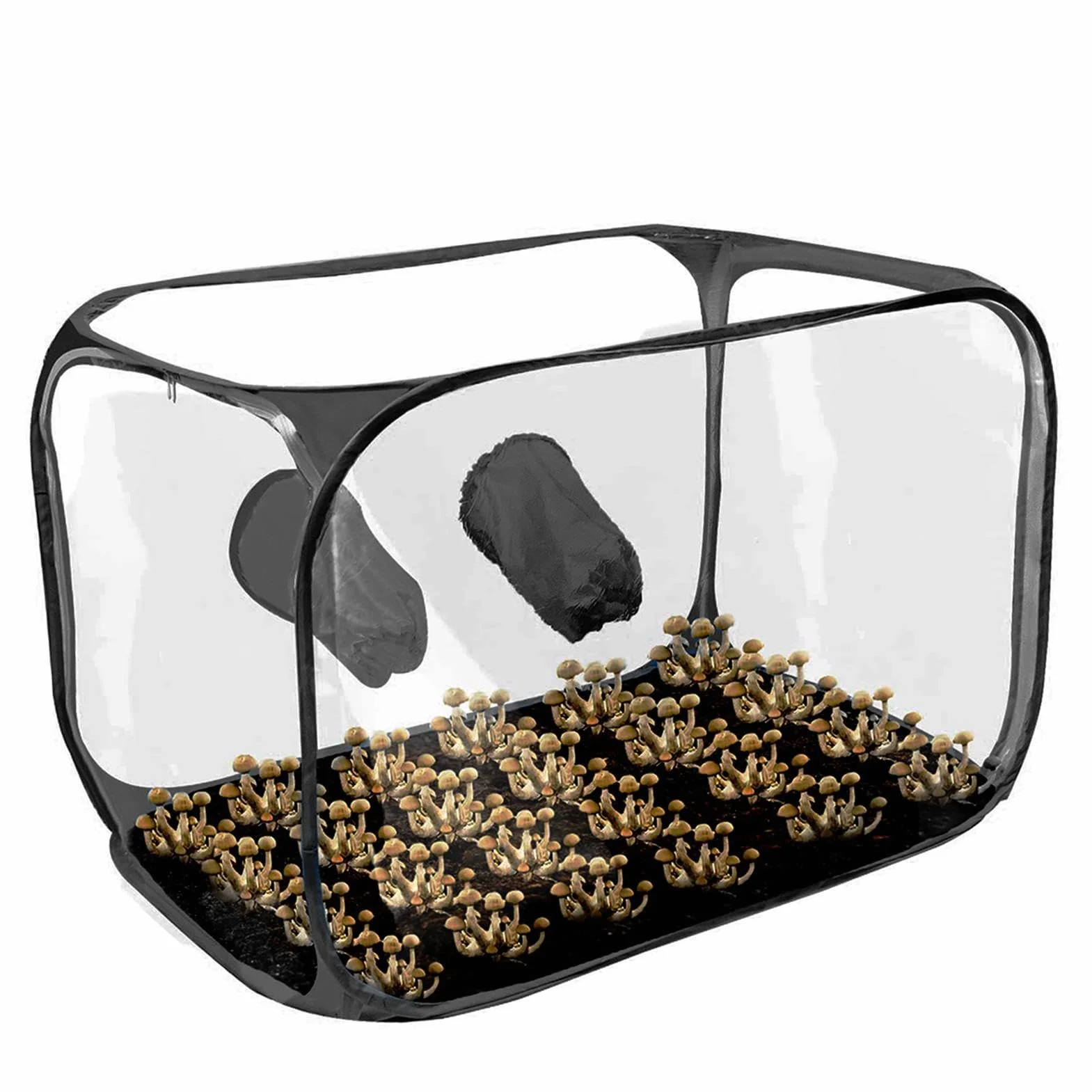 Generisch Caja de aire para setas | Caja de cultivo de hongos | Todavía caja de aire | Tienda de cultivo de plantas, kit perfecto para cultivos, suministros de jardinería, bolsa de cultivo de hongos