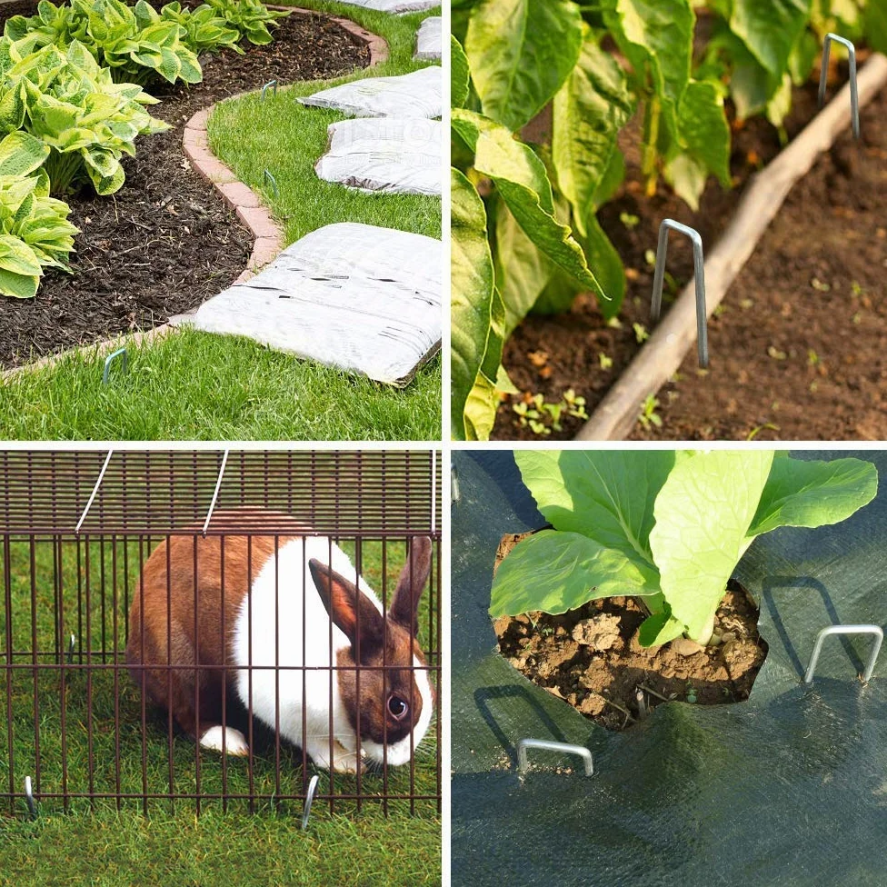 Paquete de 100 Grapas galvanizadas de 12 Pulgadas, estacas de jardín de Metal para jardinería, antioxidantes, Resistentes, estacas de césped para Suelo, estacas de Patio para Barrera de