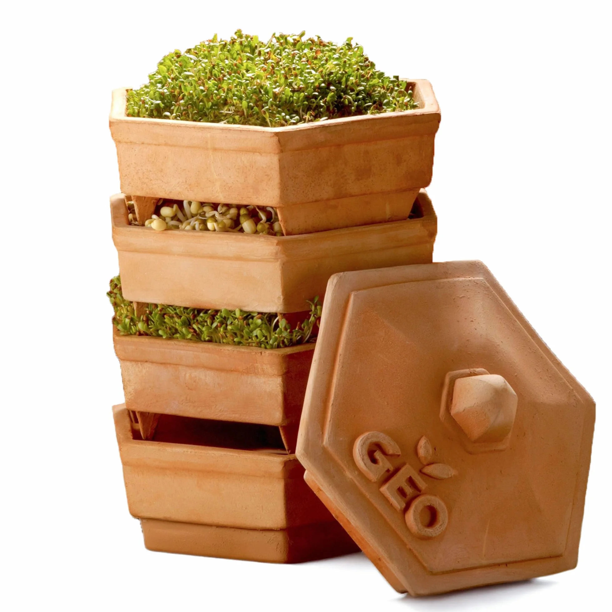 GEO - Germinador en barro, muy espaciosa para tener muchos brotes distintos