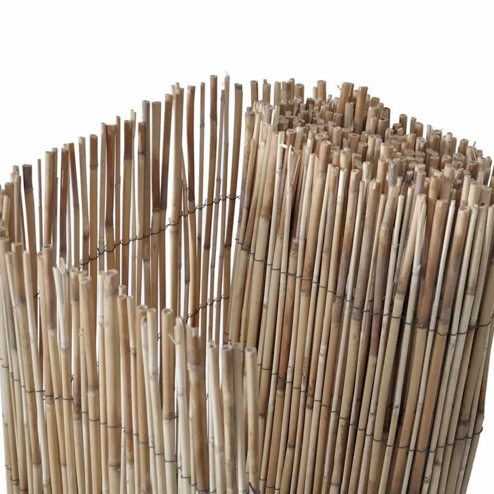 Valla natural de juncos, 300 x 160 cm, resistente a la intemperie, valla de jardín, decorativa como protección visual y valla para zonas de jardín o terraza, duradera y plegable