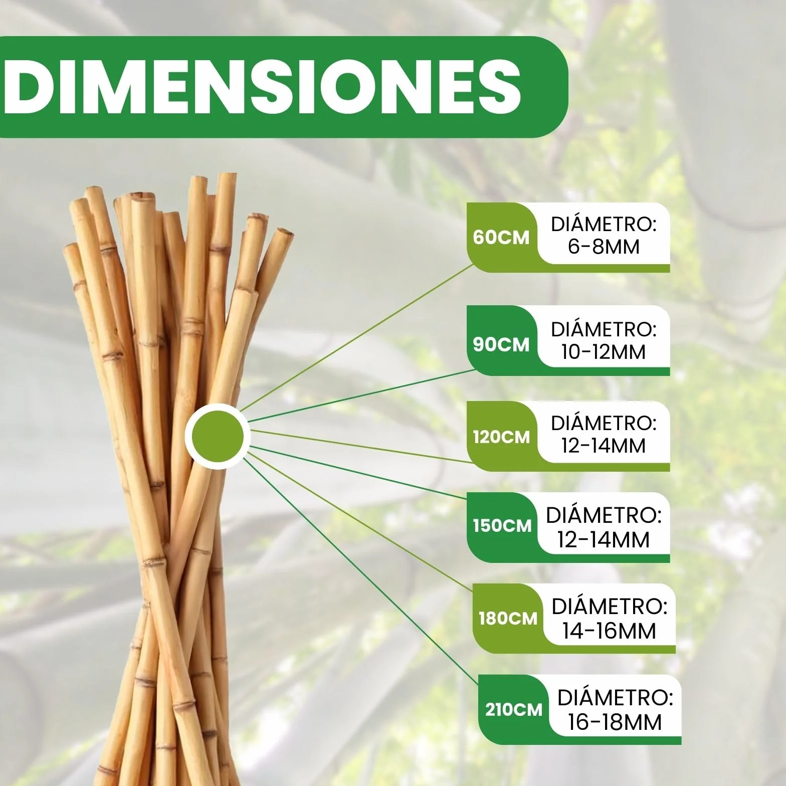 PLANTAWA Tutores de Bambú 90 cm Paquete 25 Unidades Ø 10-12 mm | Soporte para Plantas, Hortalizas, Tomates y Tomateras | Tutores para Plantas de Instalación Fácil. Cañas de bambú Resistentes