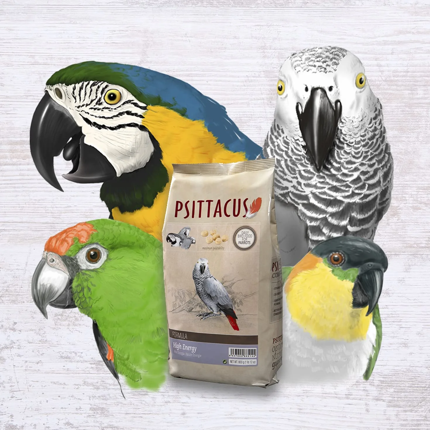 Psittacus High Energy 800 g | Pienso Completo para Yacos, Guacamayos y Otros Loros Africanos | Alimento Premium para Aves, 100% no-GMO