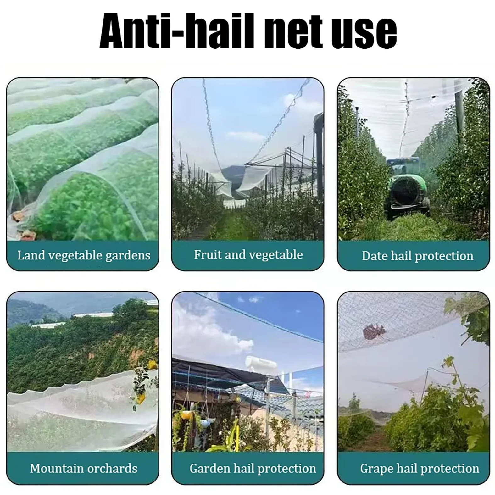 Malla Antigranizo Hail Net, Proteger contra el Granizo para Árboles frutales, huertos, Plantas de hortalizas(4 x 10 M)