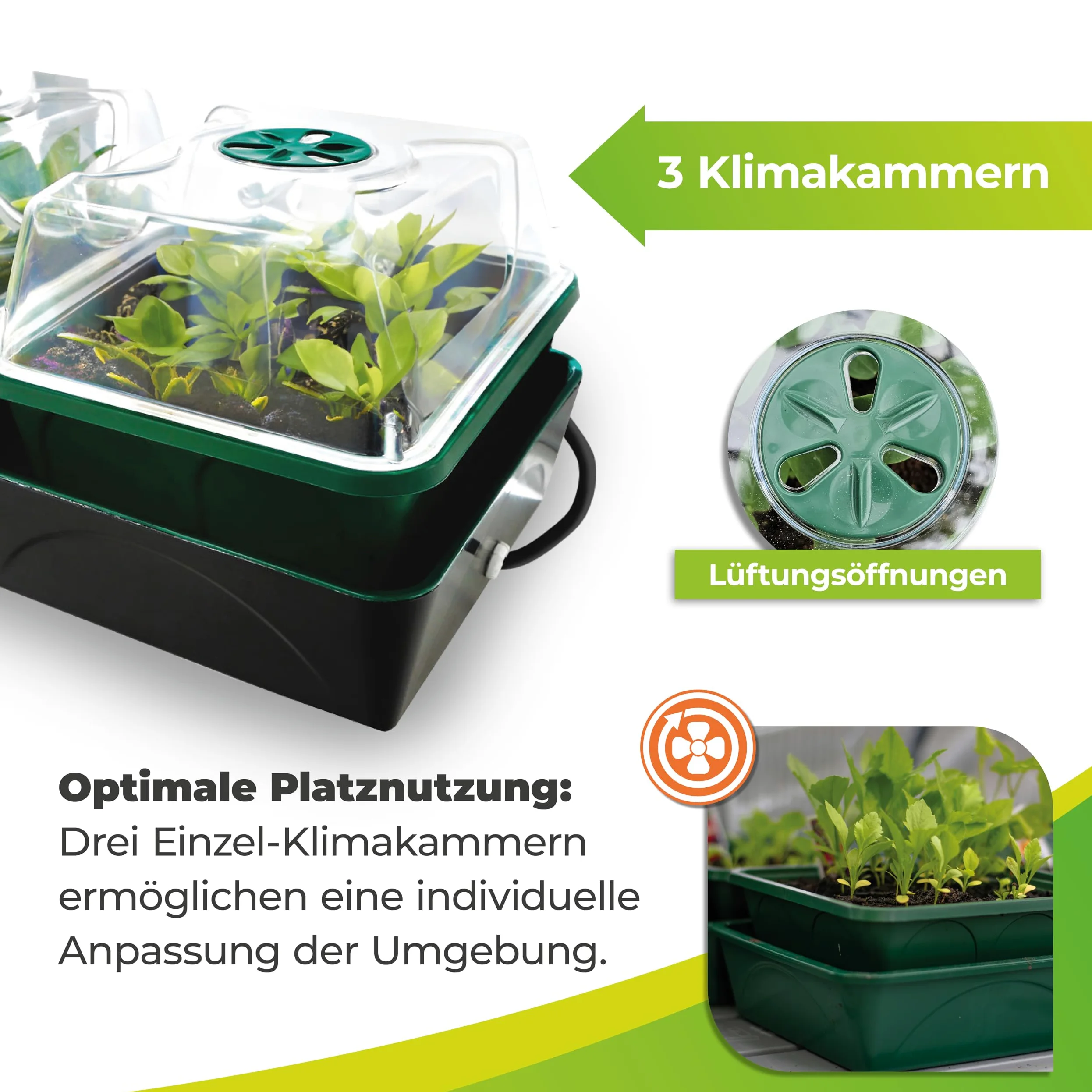 Bio Green Productos de Cultivo estación de Cultivo Hollandia, Multicolor