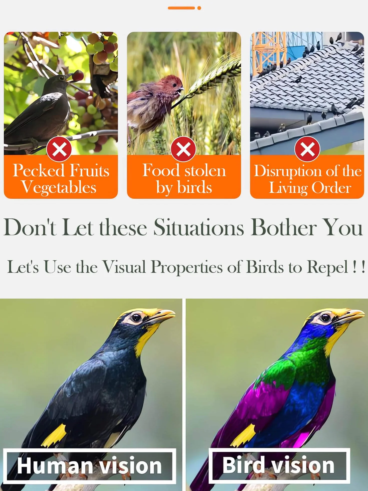 4 Piezas Cinta Reflectante Anti Palomas（2.4cmx80m） Repelentes para Pájaros,Cinta Espantapájaros丨Cinta Repelente De Aves Reflectante De Doble Cara.