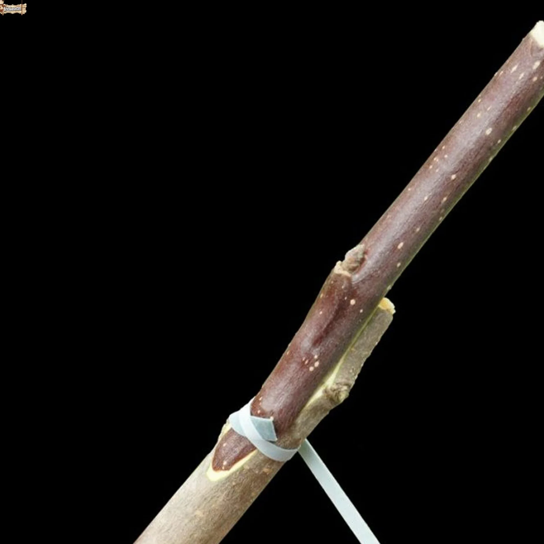 BricoLoco.com Gomas de injertar elásticas. 240x8 mm. 70 Gomas Cinta flexiband para injertos manuales en árboles, frutales, Plantas, sin máquina injertadora. Sustituye la Cuerda (100, 240x8 mm)