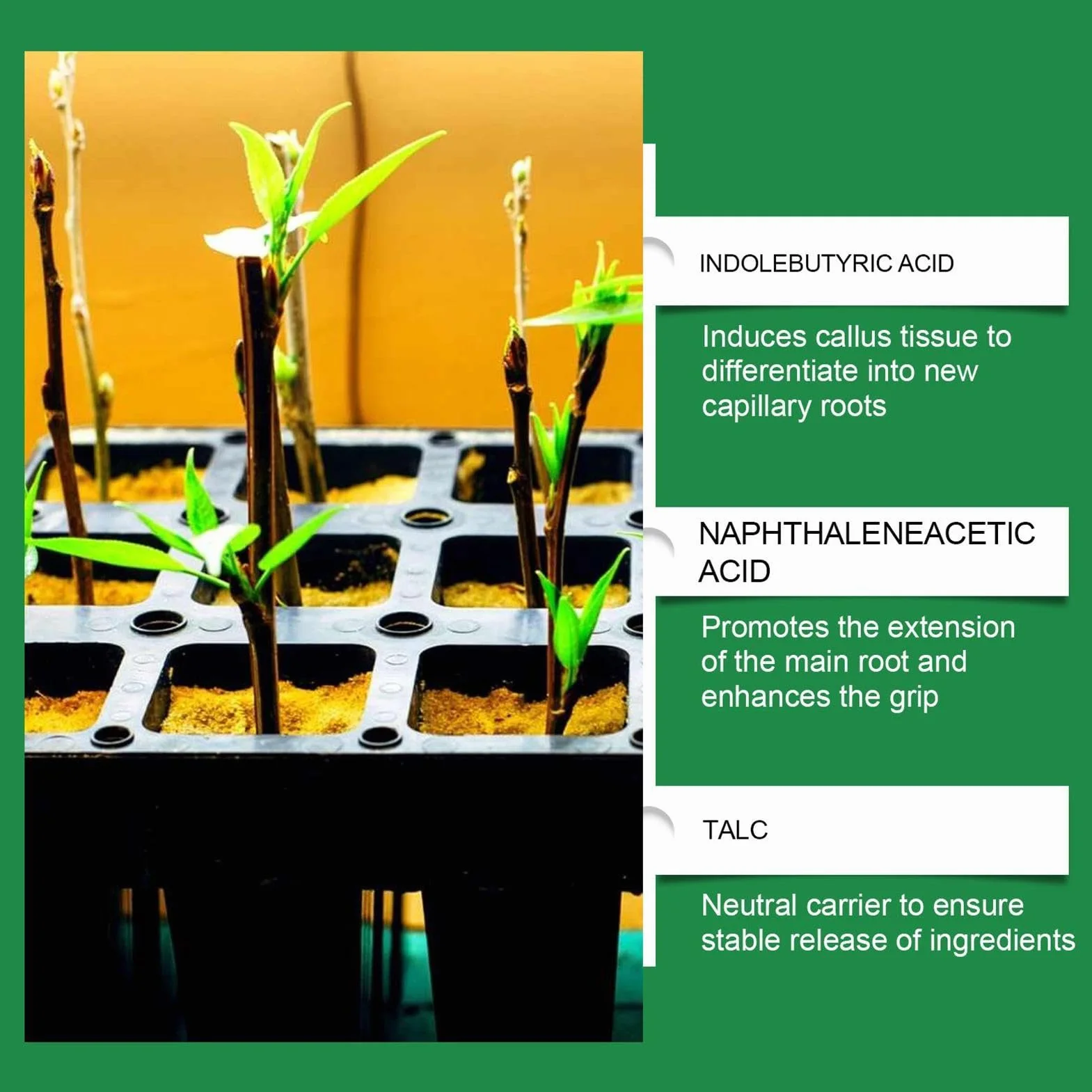 Revitalizador del suelo | nutrientes para el crecimiento de las plantas | Promotor del crecimiento de raíces - Para jardineros, agricultores, cultivadores, paisajistas, patios, granjas, huertos