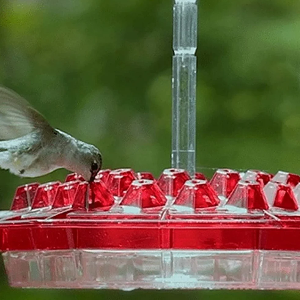 Comedero para colibríes y Foso para Hormigas Incorporado Fácil de Limpiar Patio Jardín Decoración Bebedero Semillas y dispensador de plástico
