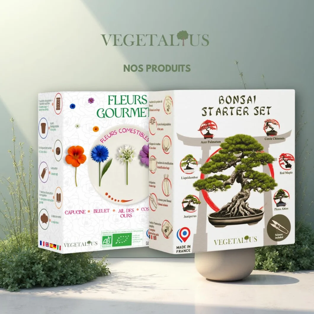 Kit completo de 6 Bonsai con semillas y accesorios - Fabricado en Francia - Idea original de regalo para mujer y hombre para tu interior o jardín. Ideal para Navidad o Secret Santa