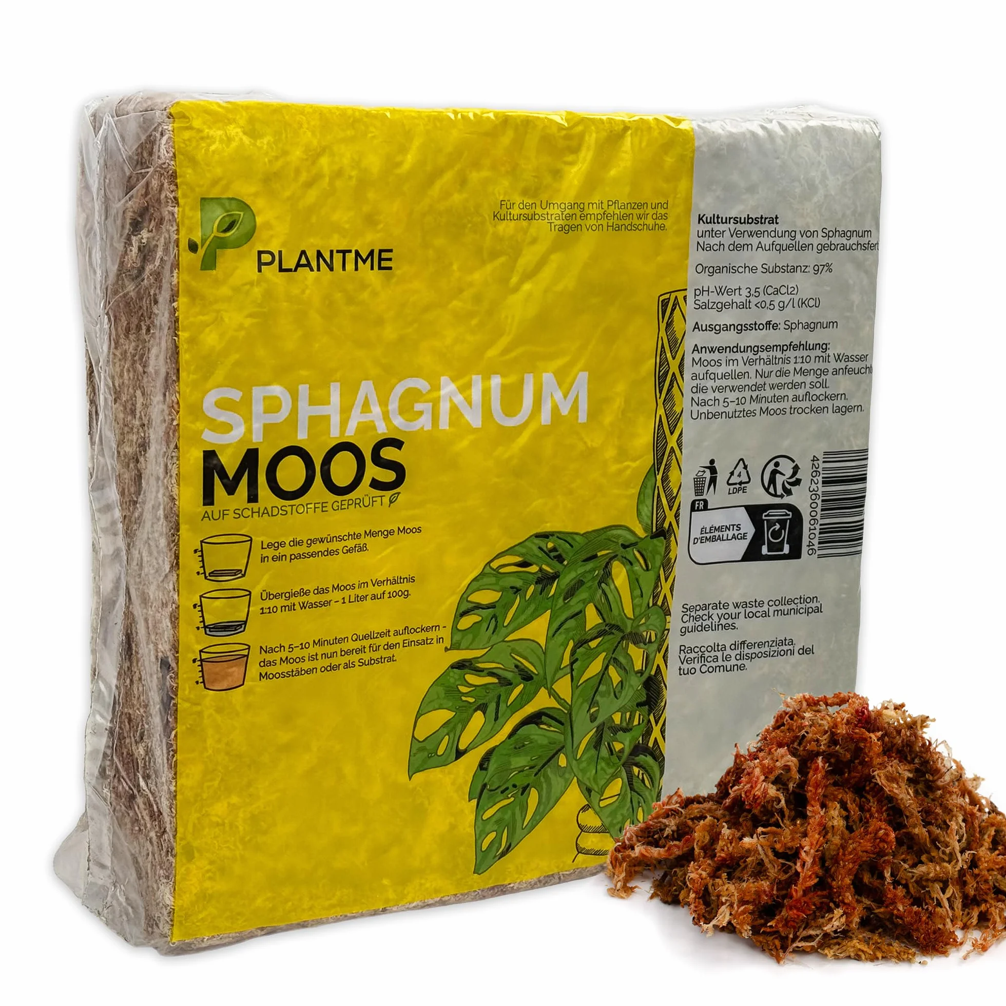Sphagnum - Musgo para plantas de interior y enredaderas (1000 g)